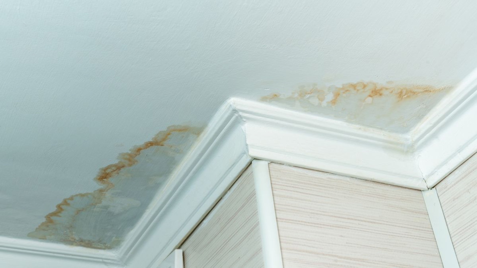 Water damage repair project in progress