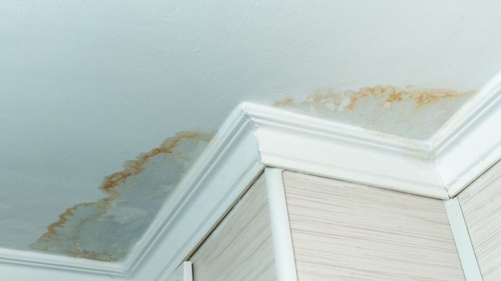 Water damage repair project in progress